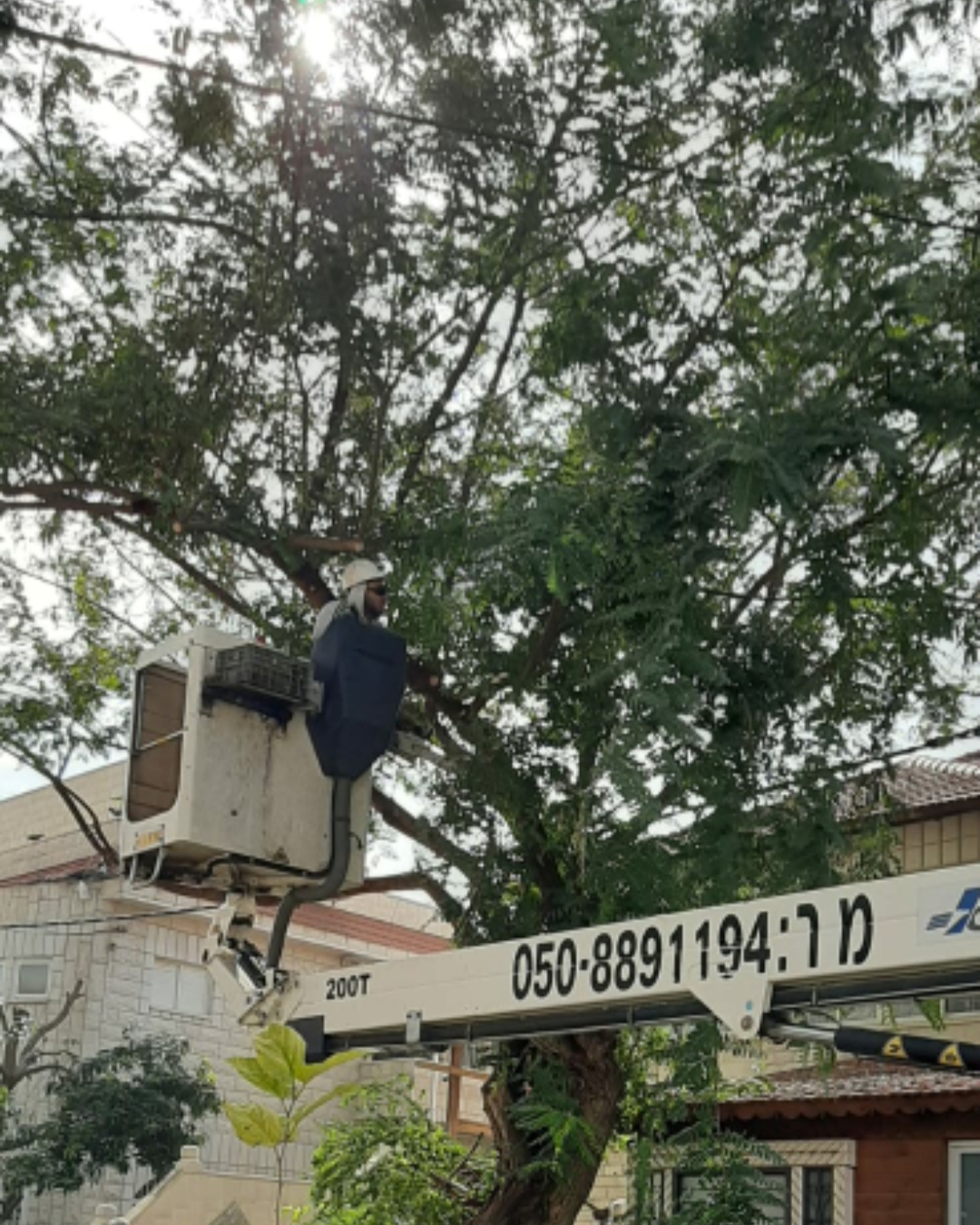 WhatsApp Image 2020-01-29 at 1.18.34 PM (1).jpeg.jpeg